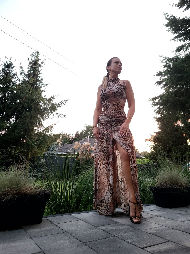 Sukienka FABIA panters Sukienka FABIA panters